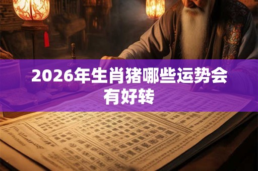 2026年生肖猪哪些运势会有好转