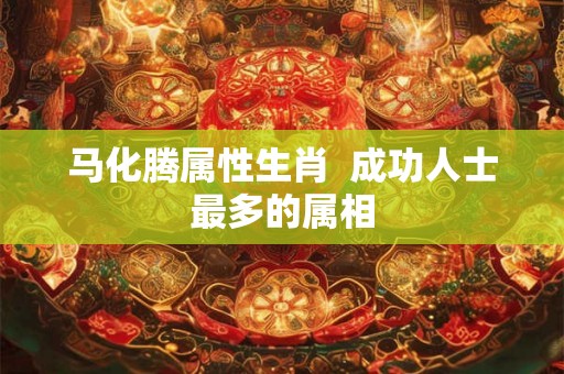 马化腾属性生肖  成功人士最多的属相