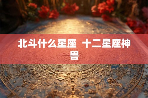 北斗什么星座  十二星座神兽