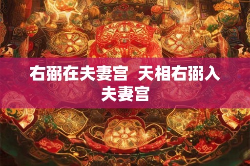 右弼在夫妻宫  天相右弼入夫妻宫