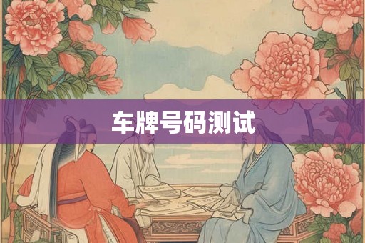 车牌号码测试