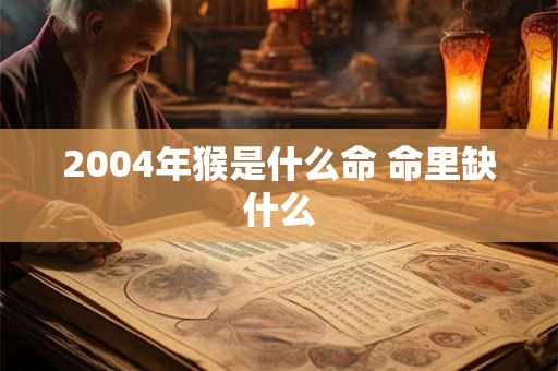 2004年猴是什么命 命里缺什么