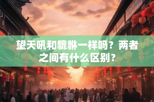 望天吼和貔貅一样吗？两者之间有什么区别？