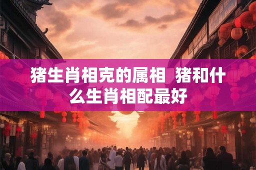 猪生肖相克的属相  猪和什么生肖相配最好