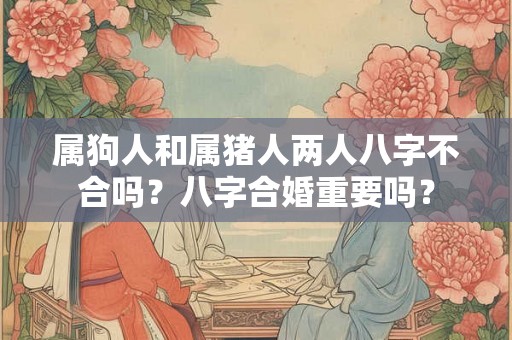 属狗人和属猪人两人八字不合吗？八字合婚重要吗？