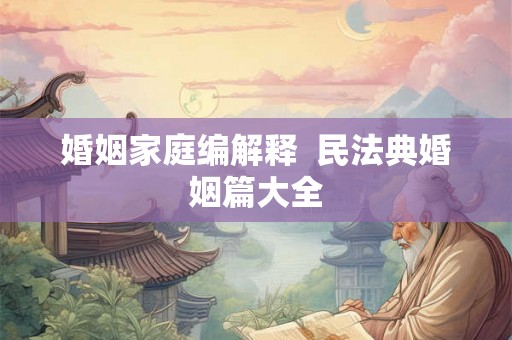 婚姻家庭编解释  民法典婚姻篇大全