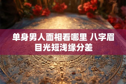 单身男人面相看哪里 八字眉目光短浅缘分差