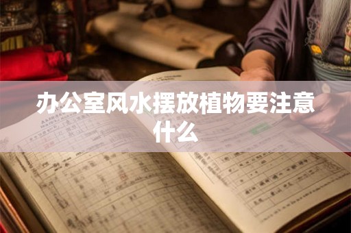 办公室风水摆放植物要注意什么