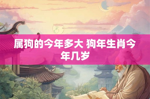 属狗的今年多大 狗年生肖今年几岁