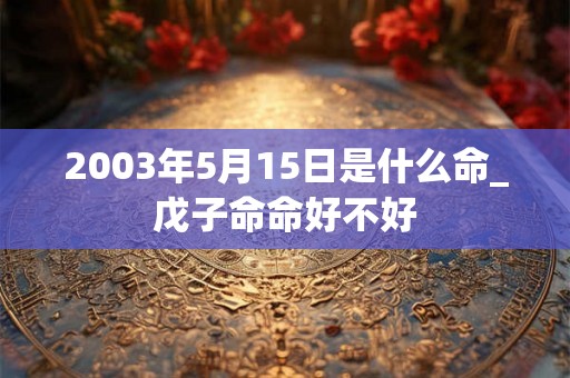 2003年5月15日是什么命_戊子命命好不好 2003年5月15日是什么命_戊子命命好不好