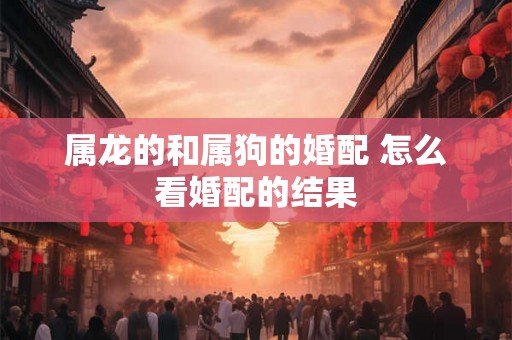 属龙的和属狗的婚配 怎么看婚配的结果