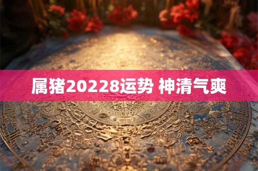 属猪20228运势 神清气爽