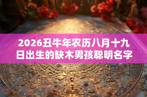 2026丑牛年农历八月十九日出生的缺木男孩聪明名字