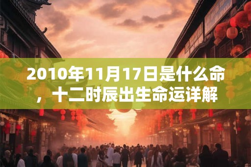 2010年11月17日是什么命，十二时辰出生命运详解