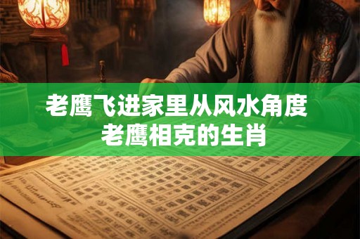 老鹰飞进家里从风水角度 老鹰相克的生肖 老鹰飞进家里从风水角度 老鹰相克的生肖
