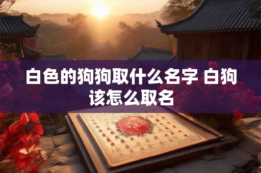 白色的狗狗取什么名字 白狗该怎么取名