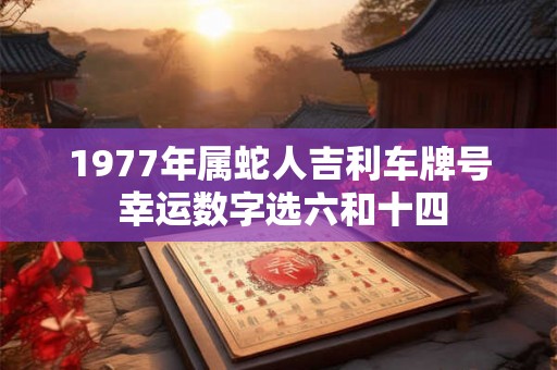 1977年属蛇人吉利车牌号 幸运数字选六和十四