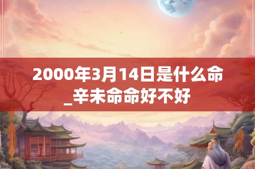 2000年3月14日是什么命_辛未命命好不好