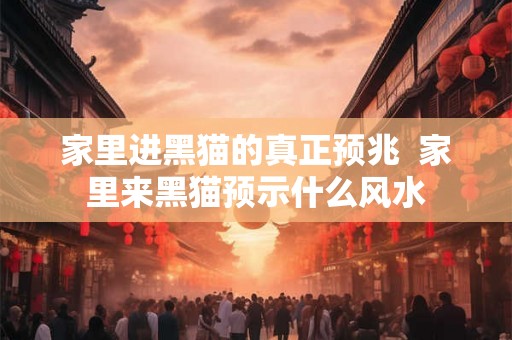 家里进黑猫的真正预兆  家里来黑猫预示什么风水
