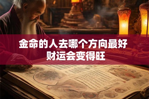 金命的人去哪个方向最好  财运会变得旺