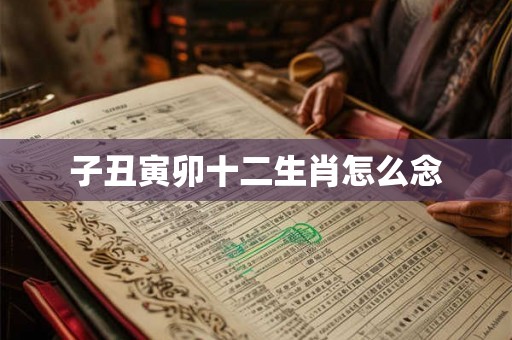 子丑寅卯十二生肖怎么念 子丑寅卯十二生肖怎么念