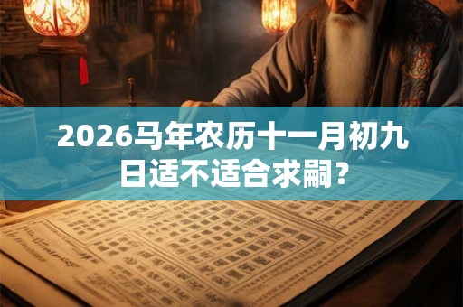 2026马年农历十一月初九日适不适合求嗣？