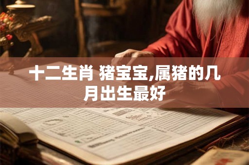 十二生肖 猪宝宝,属猪的几月出生最好