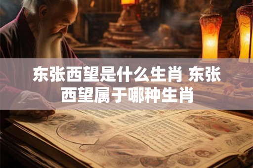 东张西望是什么生肖 东张西望属于哪种生肖