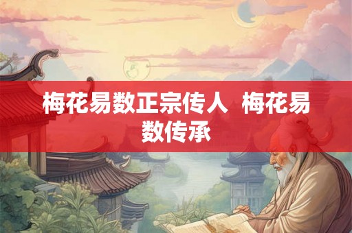 梅花易数正宗传人  梅花易数传承