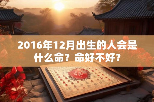 2016年12月出生的人会是什么命？命好不好？