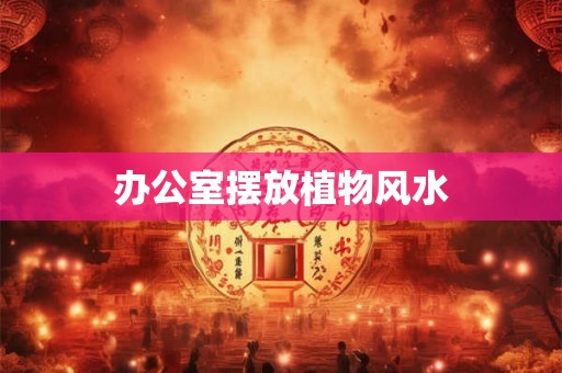 办公室摆放植物风水