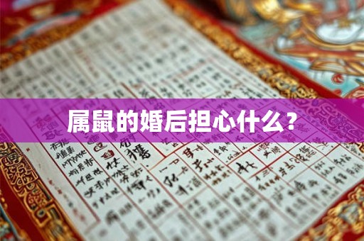 属鼠的婚后担心什么？