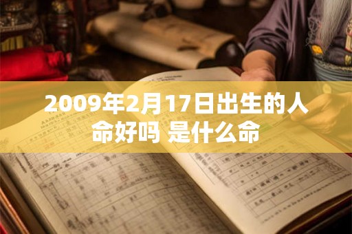 2009年2月17日出生的人命好吗 是什么命