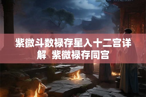紫微斗数禄存星入十二宫详解  紫微禄存同宫