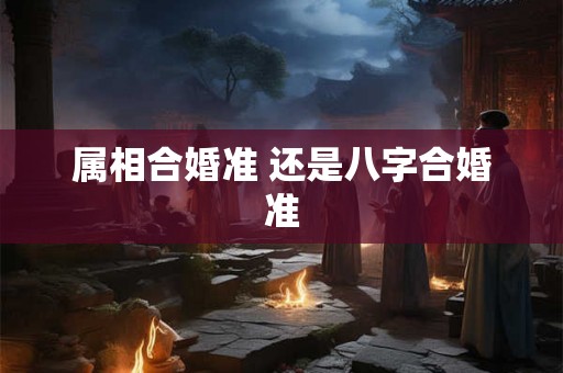 属相合婚准 还是八字合婚准