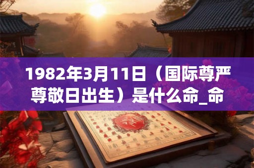1982年3月11日（国际尊严尊敬日出生）是什么命_命运如何