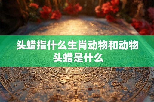 头蜡指什么生肖动物和动物 头蜡是什么