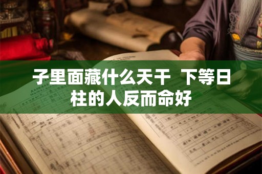 子里面藏什么天干 下等日柱的人反而命好 子里面藏什么天干 下等日柱的人反而命好