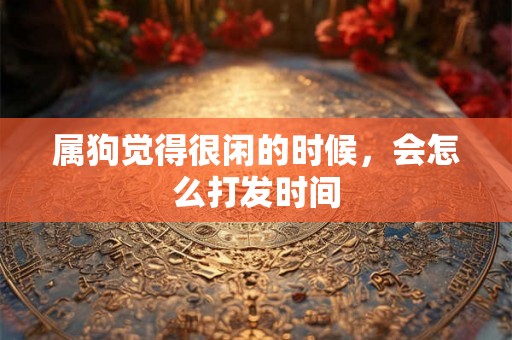 属狗觉得很闲的时候，会怎么打发时间