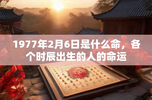 1977年2月6日是什么命，各个时辰出生的人的命运