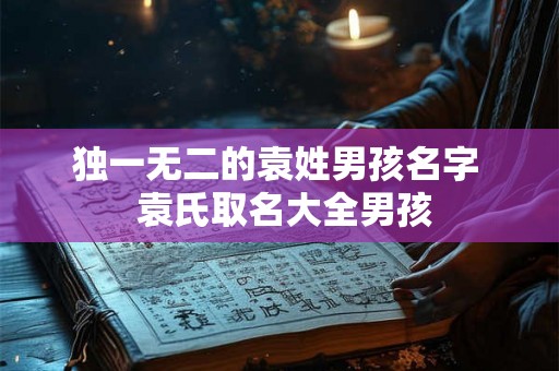独一无二的袁姓男孩名字 袁氏取名大全男孩 独一无二的袁姓男孩名字 袁氏取名大全男孩
