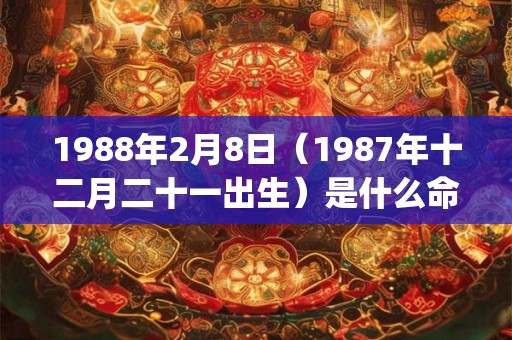 1988年2月8日（1987年十二月二十一出生）是什么命_命运如何