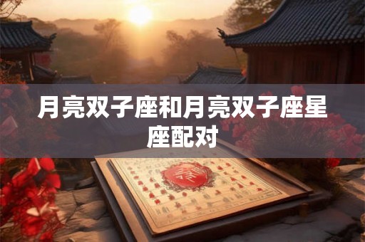 月亮双子座和月亮双子座星座配对