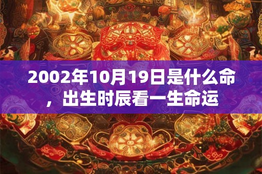 2002年10月19日是什么命，出生时辰看一生命运