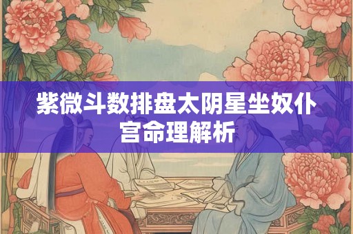 紫微斗数排盘太阴星坐奴仆宫命理解析