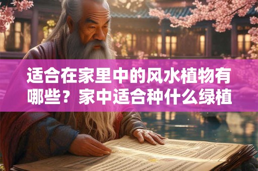 适合在家里中的风水植物有哪些？家中适合种什么绿植？