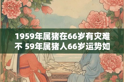 1959年属猪在66岁有灾难不 59年属猪人66岁运势如何