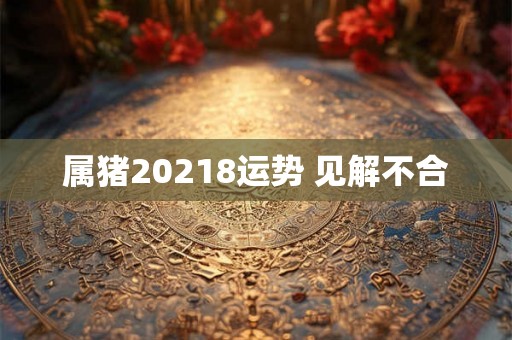 属猪20218运势 见解不合