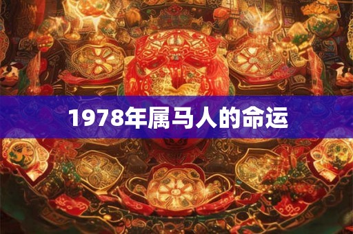1978年属马人的命运