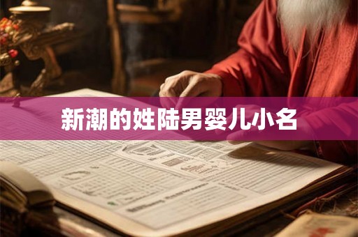新潮的姓陆男婴儿小名